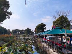 -莲花岛景区