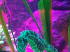 -沈阳海洋探索中心