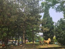 -大望京儿童游乐场