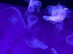 -沈阳海洋探索中心