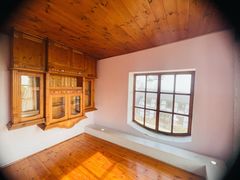 -金山农民画村-枫泾波兰倒置屋