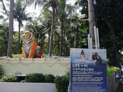 -白沙湾海滩