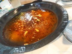 -大江美蛙鱼火锅(都江堰店)