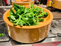 -龍歌自助小火锅(崂山丽达店)