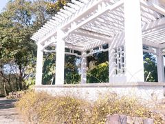 -无锡梅园公园