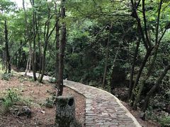-四明山国家森林公园