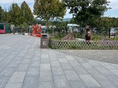 -北京西山国家森林公园