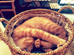 -时光转角咖啡馆(西康路店)