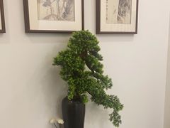 -乐老大耳道·可视采耳·禅洗·推拿(大成直营店)