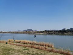 -羊山湖公园