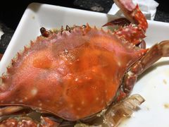 -苏大嘴海鲜牧场(奥林匹克店)