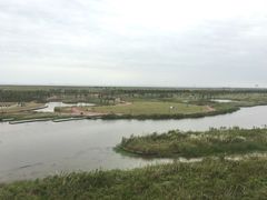 -春花秋色城市公园