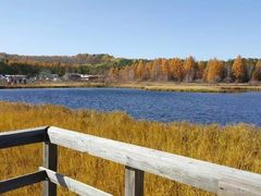 -塞罕坝国家级自然保护区