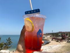 -海岛日记(养马岛店)