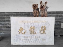 -九龙壁