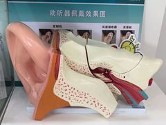 -海之声助听器(跃进南路赤坎店)