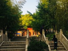 -宝岩生态观光园