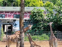 -大连森林动物园