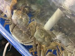 -阳澄湖大闸蟹·琼灵阁牌品牌连锁(吴中总店)