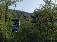 -富斯特索道