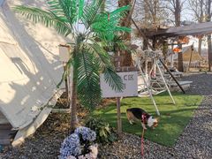 -安德鲁户外烧烤帐篷营地(马泉营店)