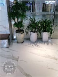 -罗亚帝造型·烫发染发