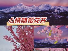 -首开·龙湖成都西宸天街