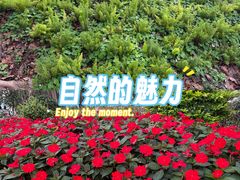 -海珠湖公园