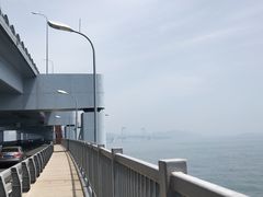 -星海湾跨海大桥