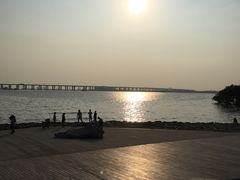 -宝安西湾红树林湿地公园