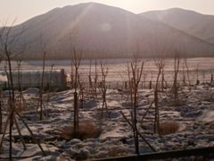 -新疆天山野生动物园