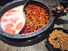 -销魂美蛙鱼头火锅(上海首店)