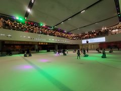 -TheRink大零溜冰场(IFS国金中心店)