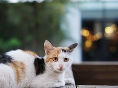-秘密小花园(第三中学店)