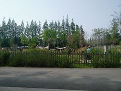 -前小桔亲子创意农场·草莓采摘·露营烧烤