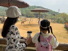 -杭州野生动物世界