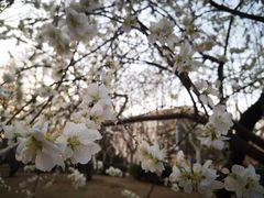 -大连理工大学(凌水校区)