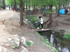 -白水寺森林公园