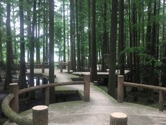 -东湖落雁景区