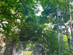 -谷咖啡·鲜花绿植花园餐厅