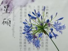 -苏州上方山国家森林公园