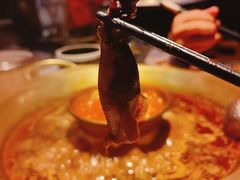 笔管鱿鱼-哥老官重庆美蛙鱼头(虹口龙之梦店)