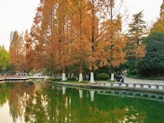 -环城公园-琥珀潭