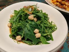 清香南瓜尖-巴依老爷新疆美食(工体旗舰店)