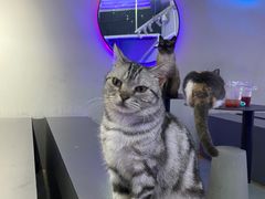 -极木²邸 人与宠物·互动社区