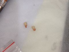 -泰康拜博口腔(世博园乐尔店)