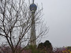 -中央广播电视塔