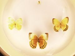 -下渚湖国家湿地公园科普馆