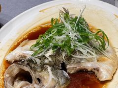 清蒸鲈鱼-金哥私房菜馆(张府园总店)