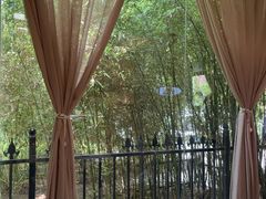 -竹雨堂创意中国菜(裕华店)